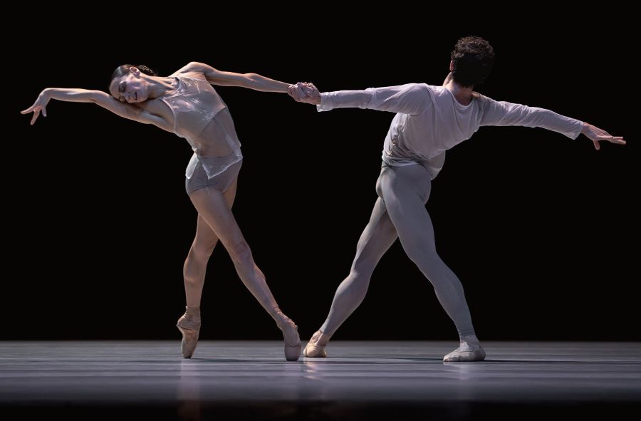 Grey Area | &copy; Yan Revazov 