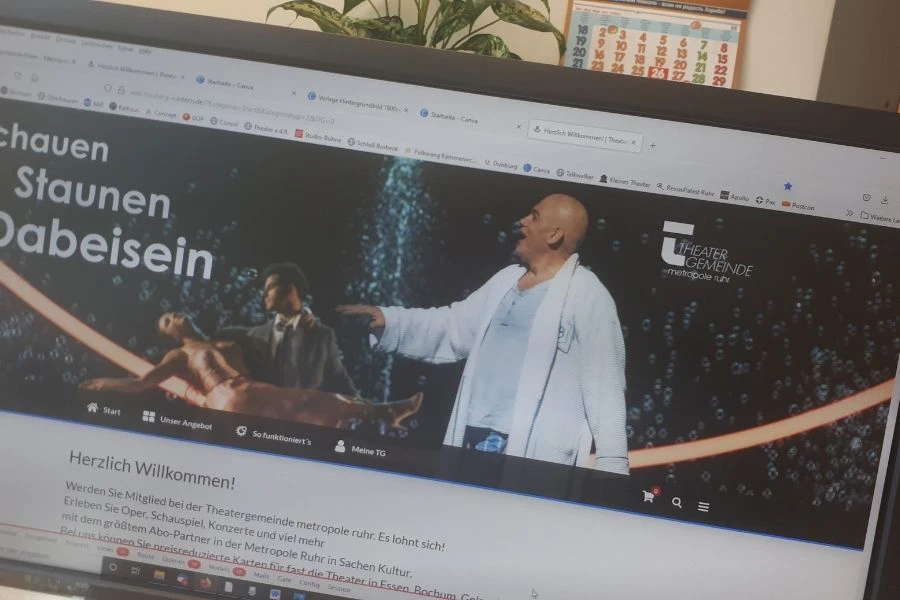 Arbeit an neuer Homepage | © Sigrid Riemer