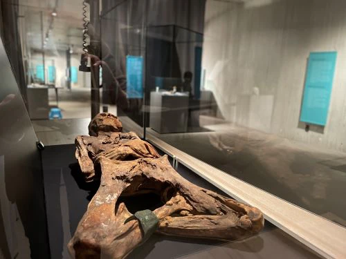Sonderausstellung Mumien | © Neanderthal Museum