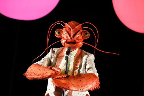 Stefan Hunstein | © Birgit Hupfeld