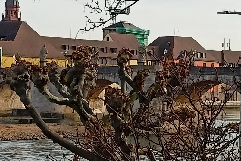 Mainufer / Alte Mainbrücke | © B. Schleiffer